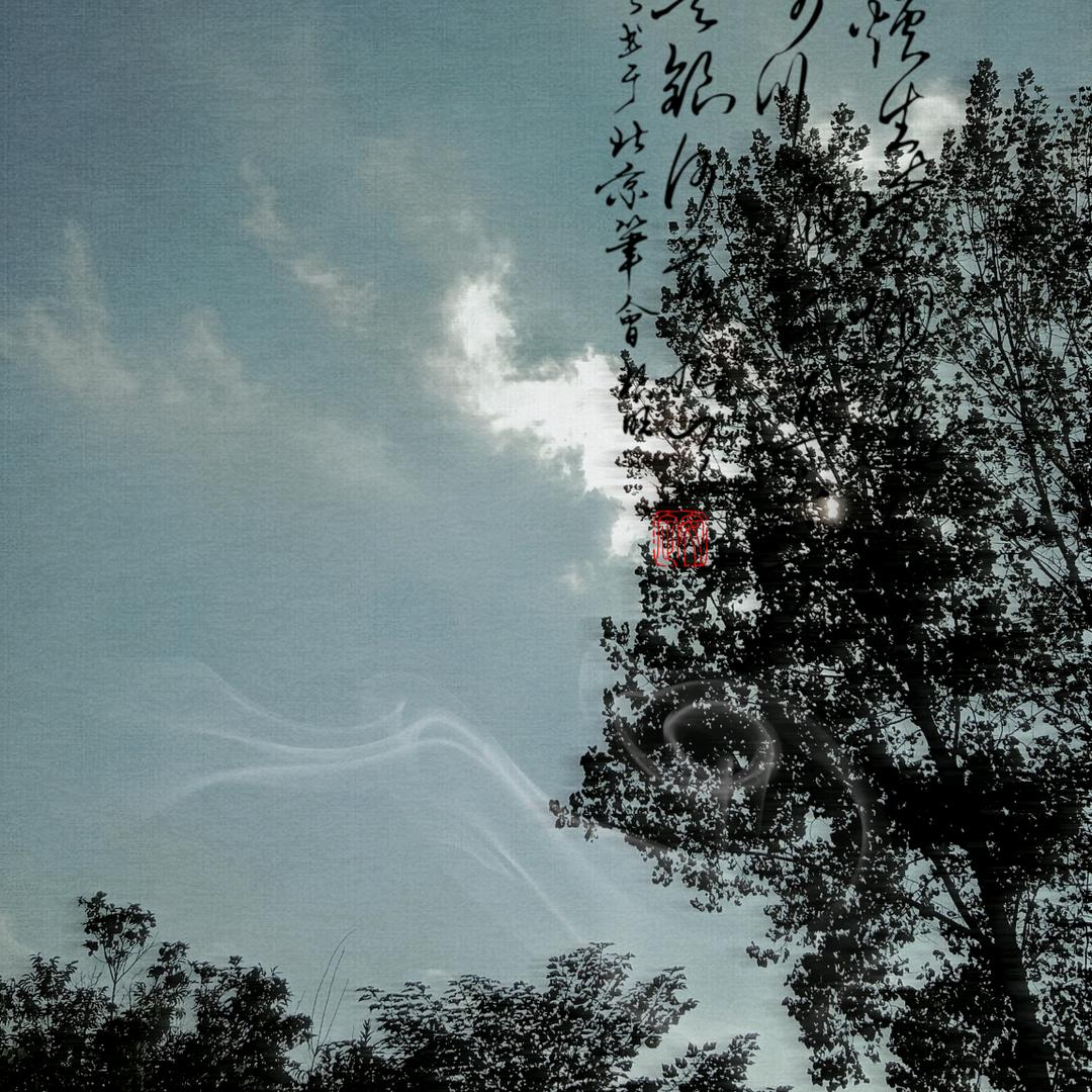 无忧无虑的云☁️彩