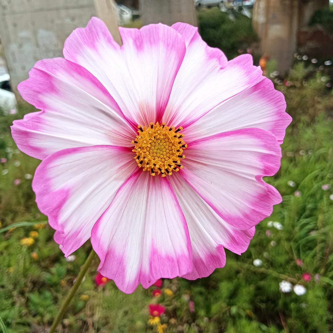 🌈🌈好心情🌈🌈