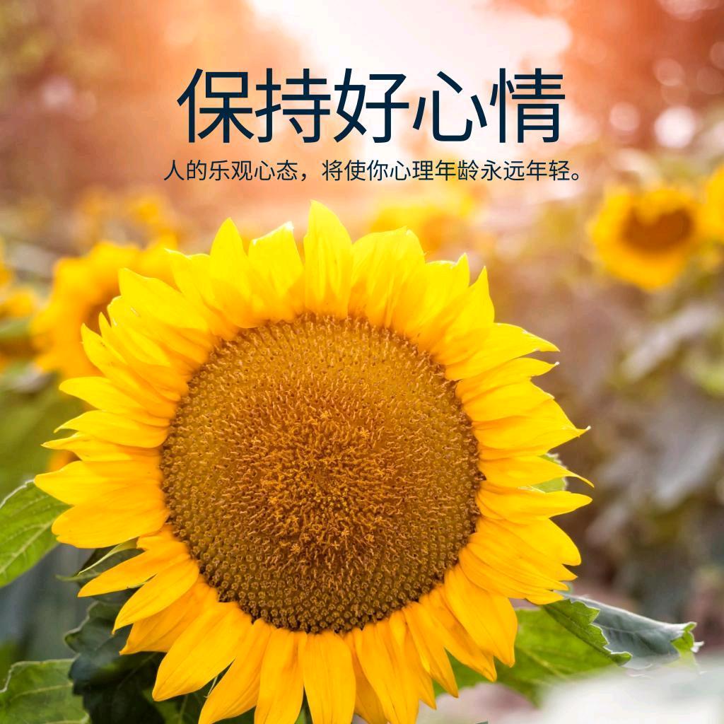 😘一生有李💯