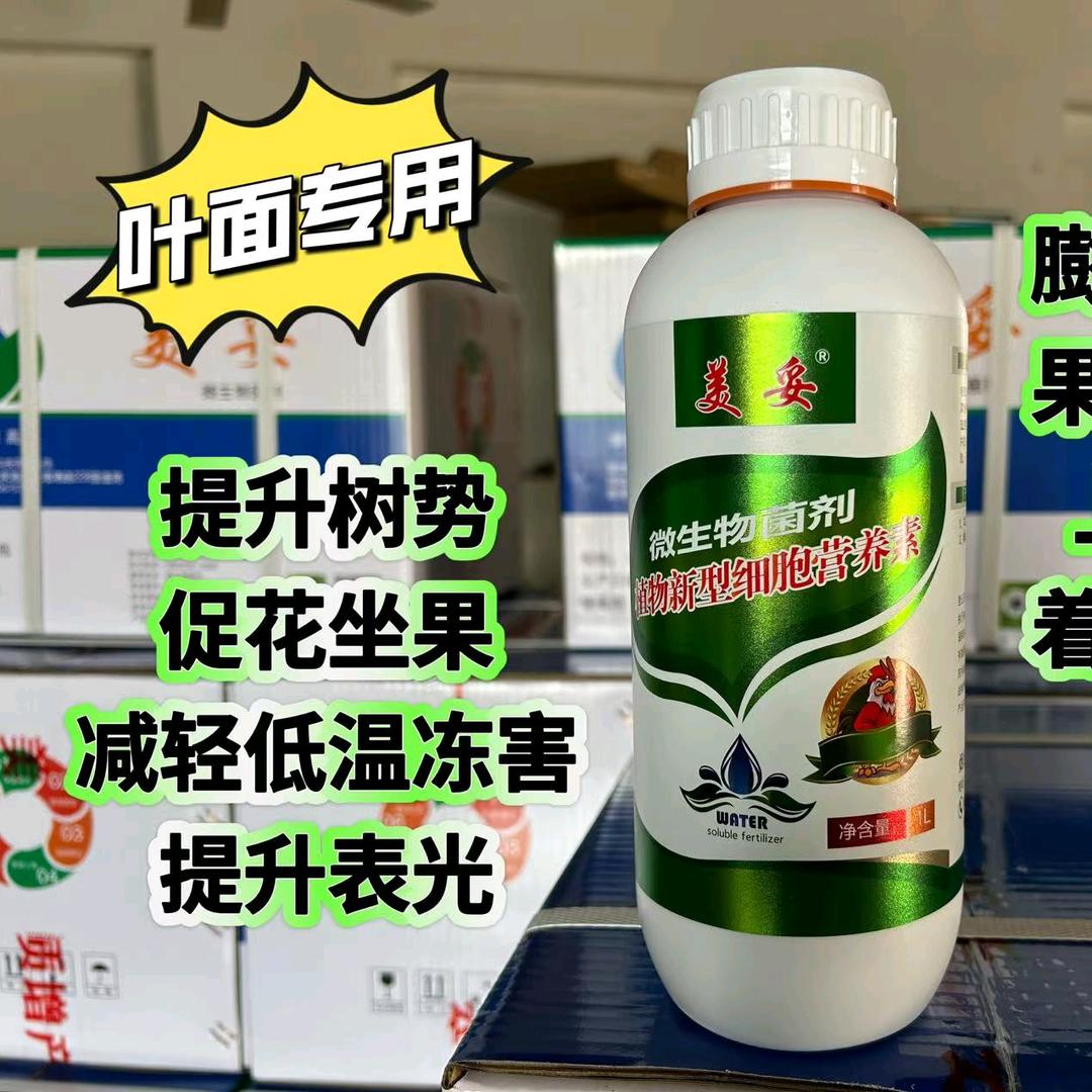 修理地球的农村人
