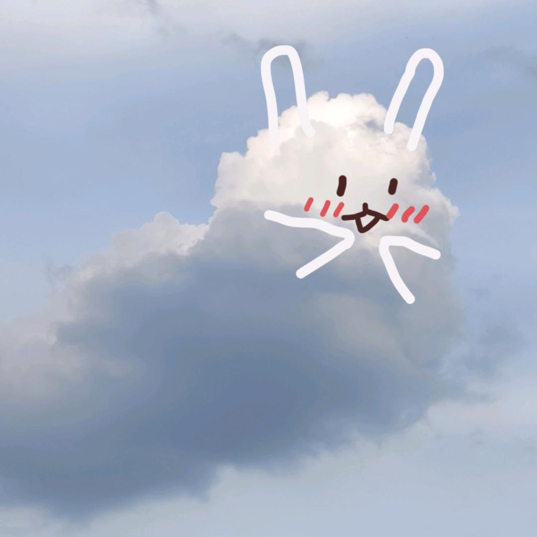 午夜嚎叫花🐰