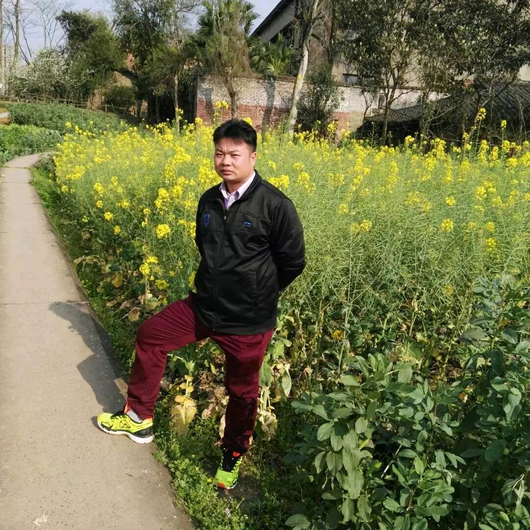 退步没啥有底线