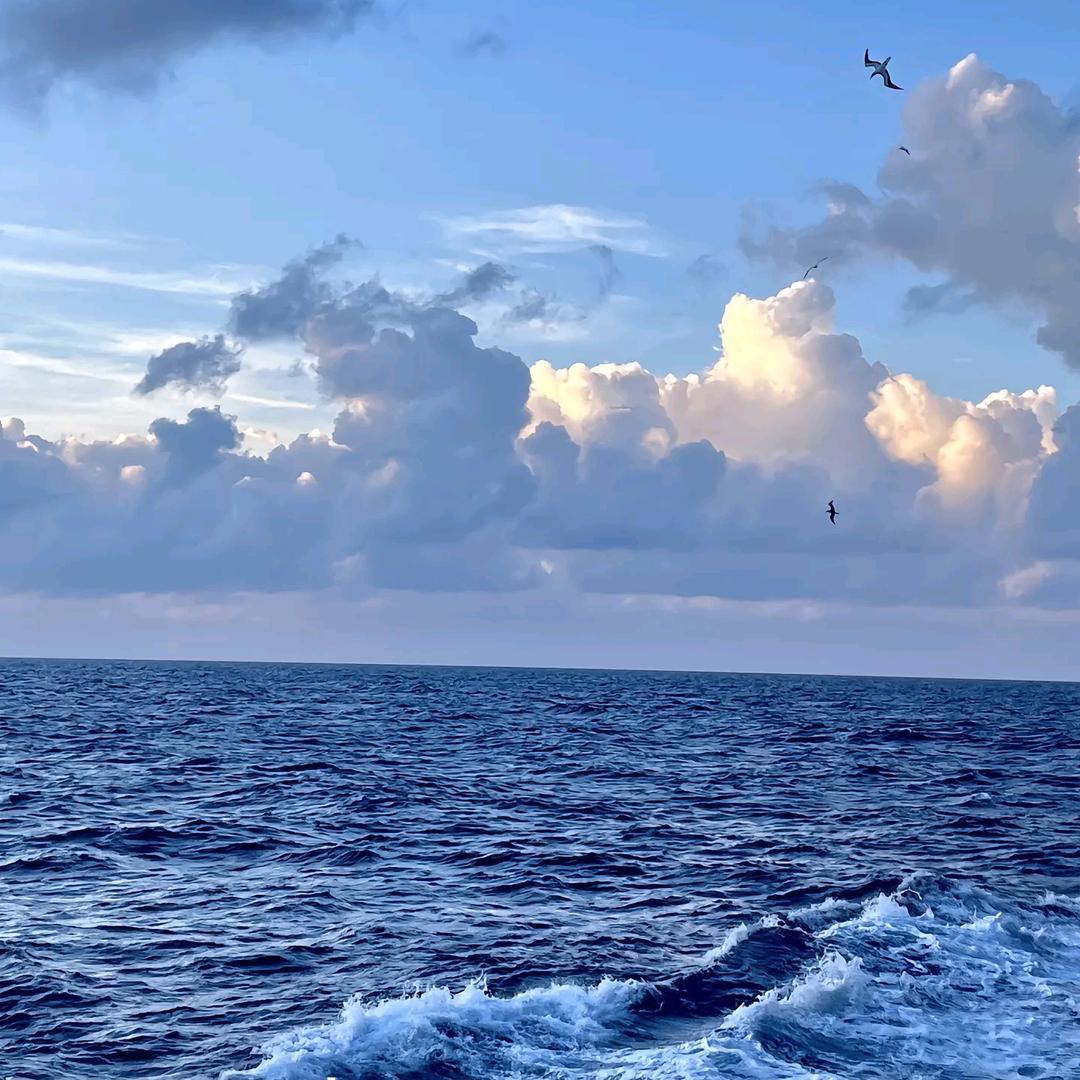 🌈喜欢海而看海
