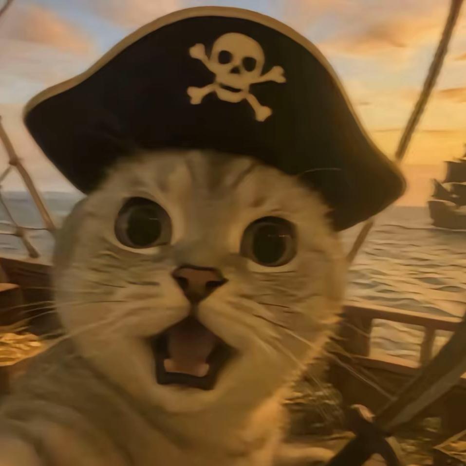 猫贼王