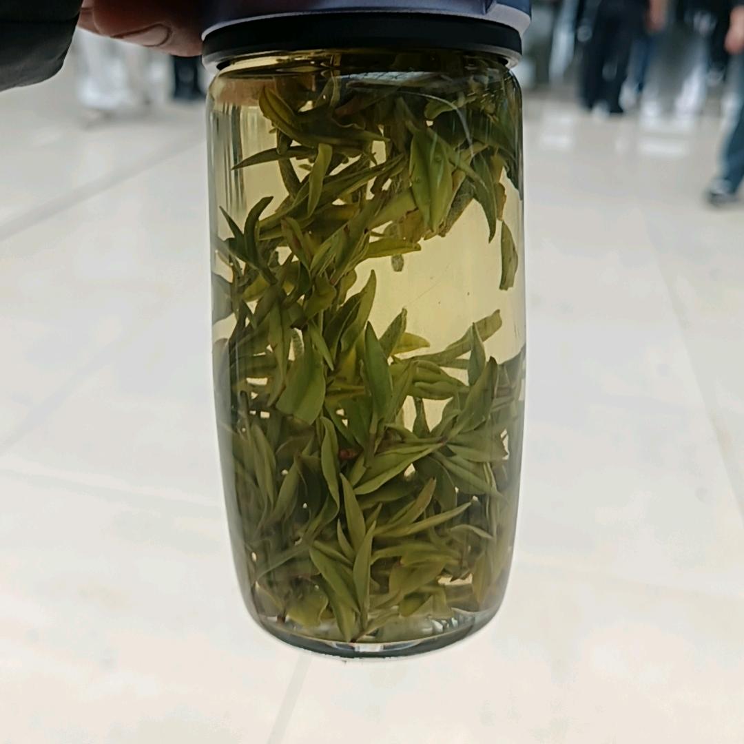 安吉白茶