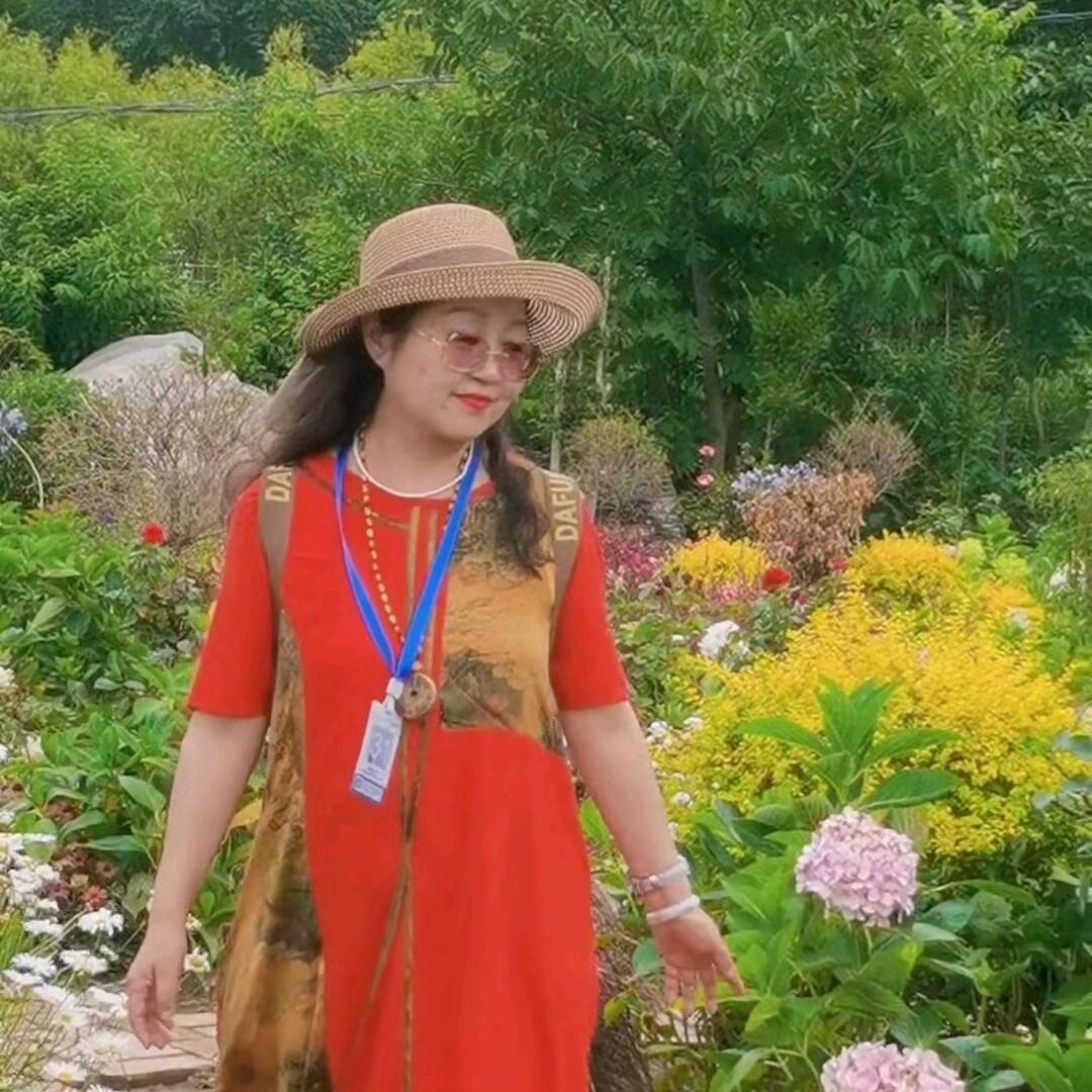 芙蓉