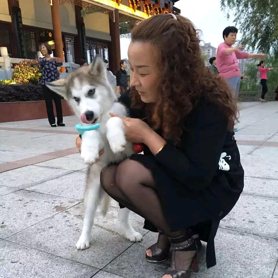 贵溪王力门.美加德尚门窗