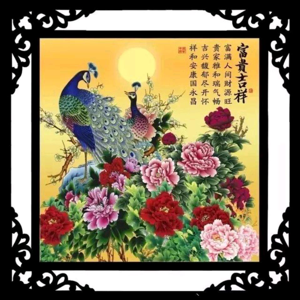 翱翔火凤凰