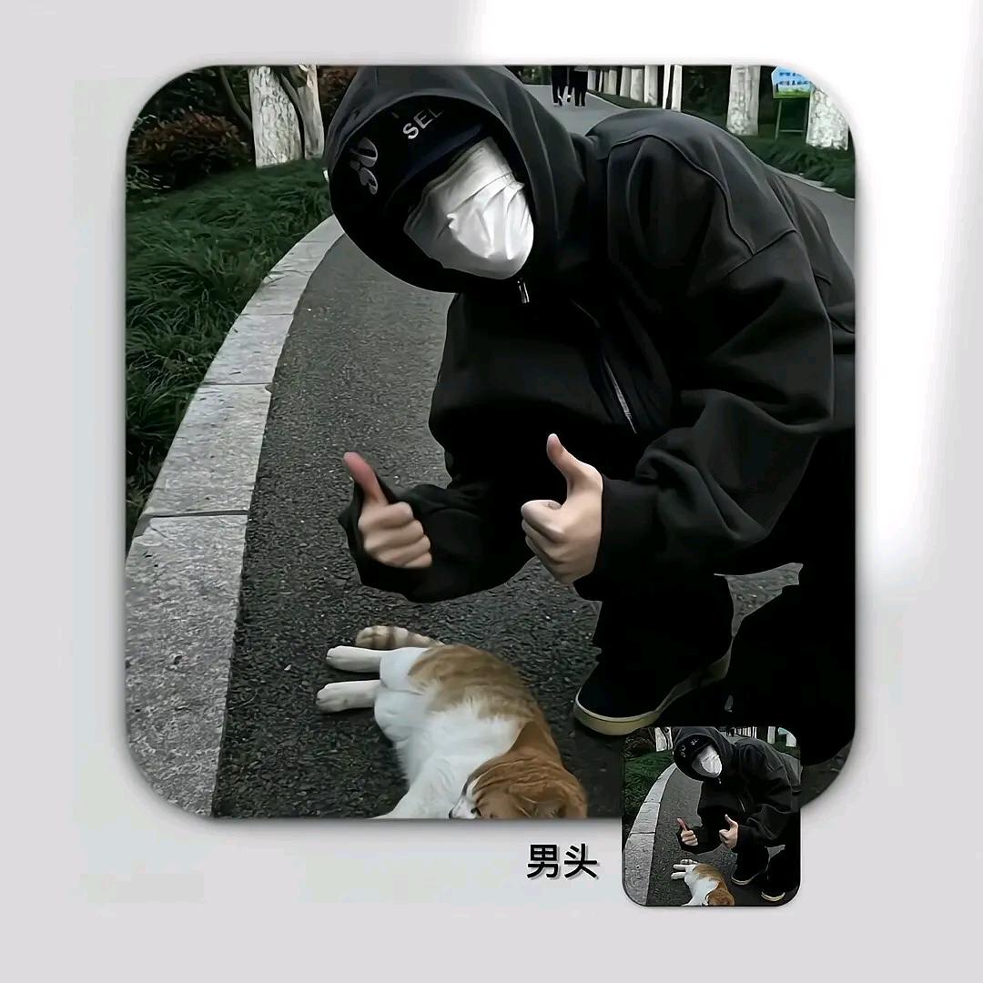 好奇宝宝