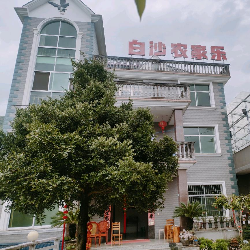 随缘就好