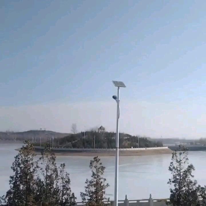 黑蛋