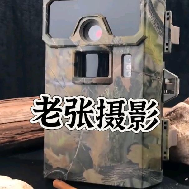 老张摄影，动物科普