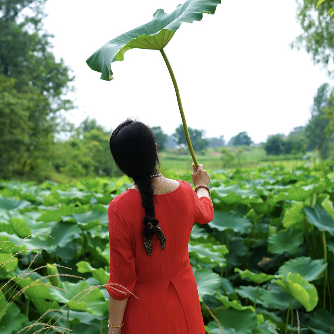 阳光☀️七姐