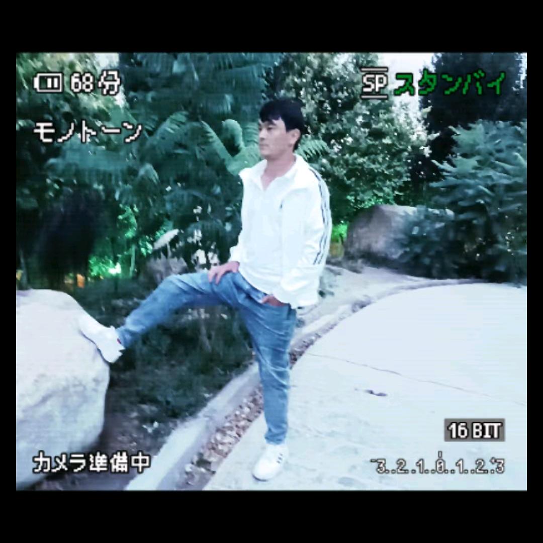 🍁   去xan买三 🍁