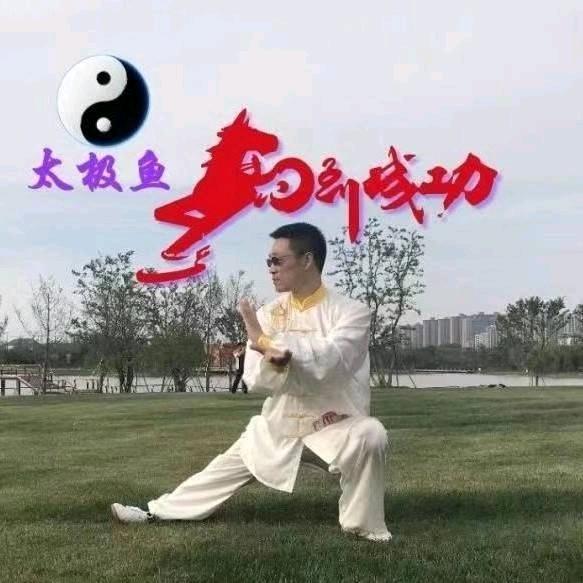 太极鱼🐟