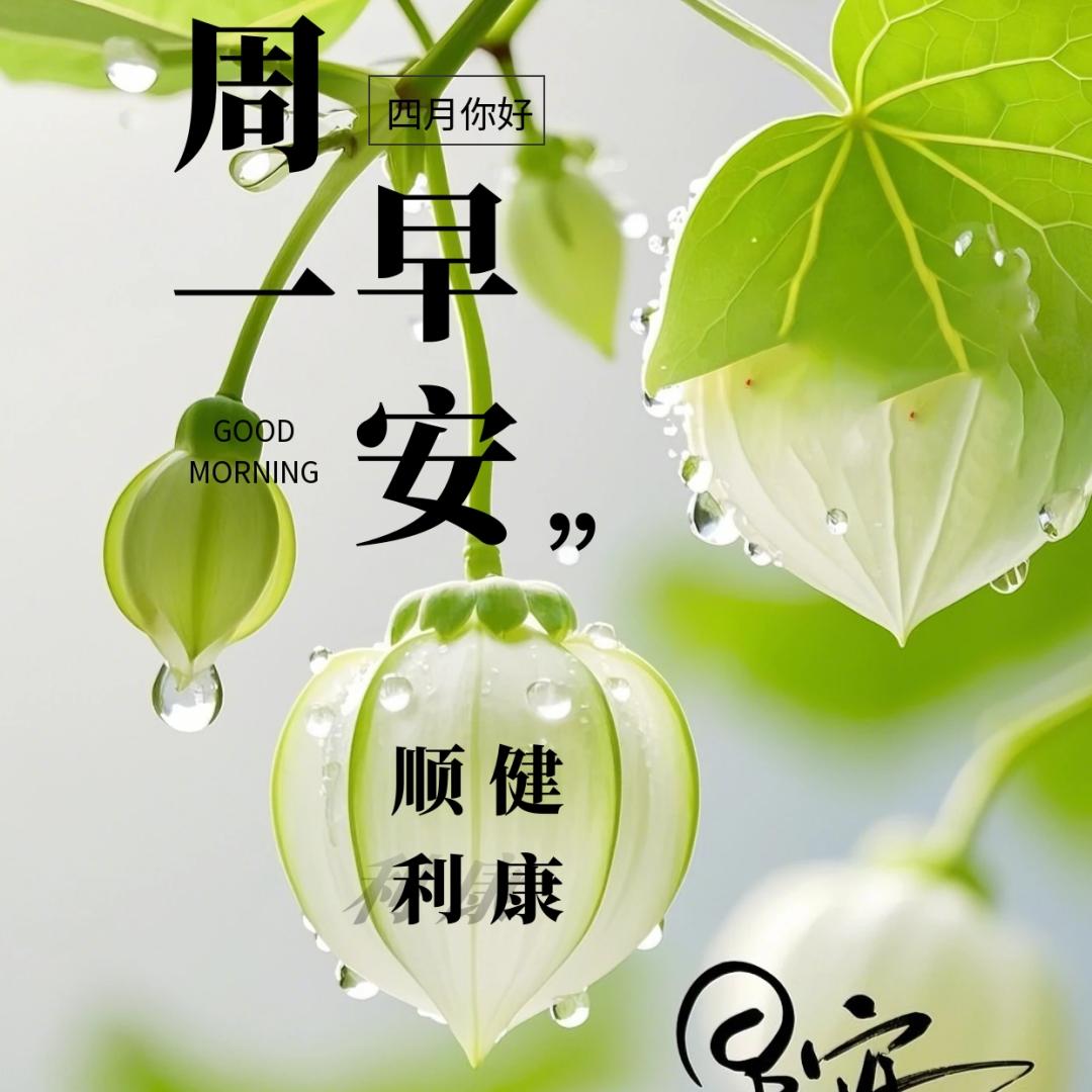 名之缘