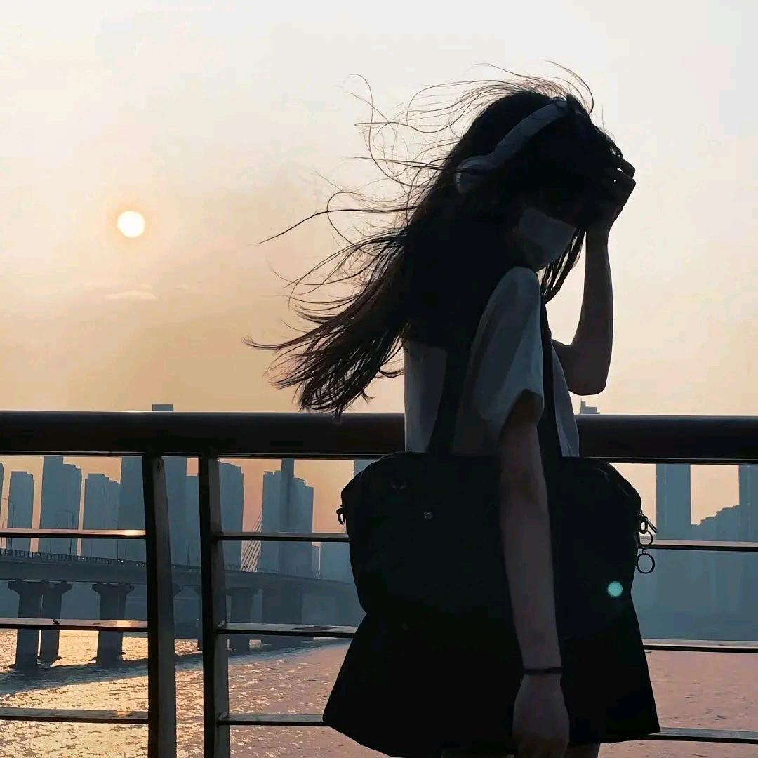 走进森林的大象