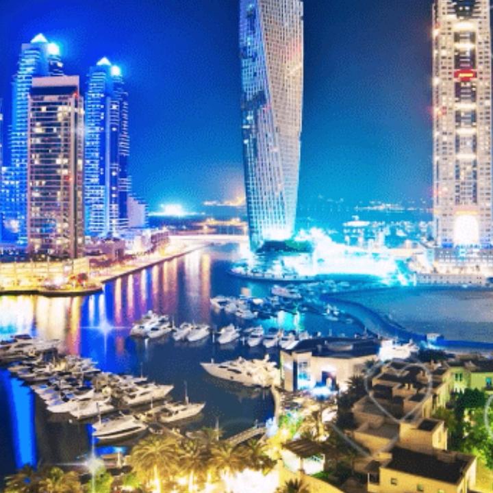 (❁´◡`❁)*✲ﾟ*小玫瑰(❁´◡`❁