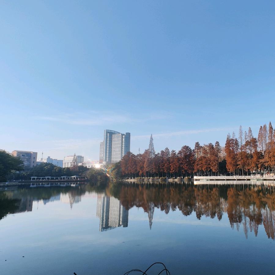 镜湖区《江南精品蟹行》