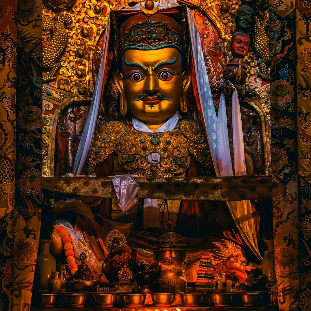 忘老弟   （小号）🫵🏻
