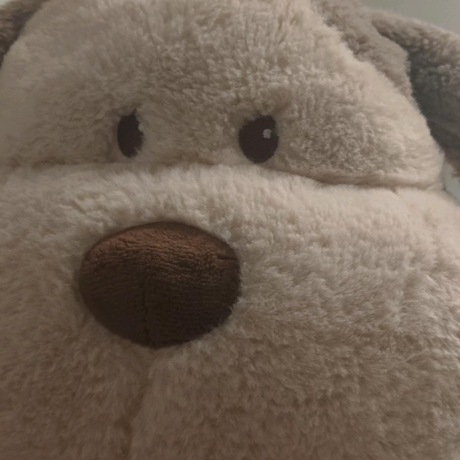 谁拿了我蛋糕🍰