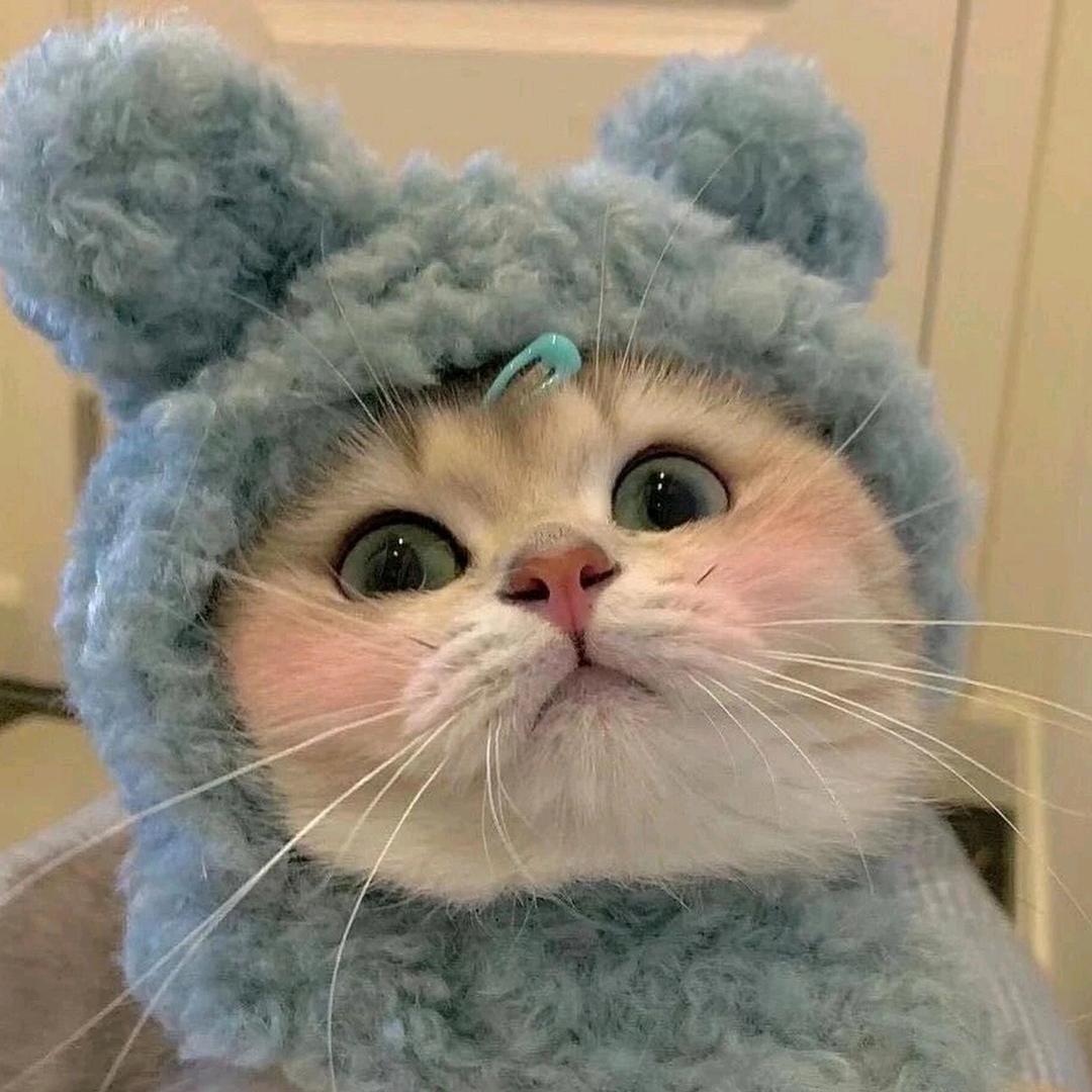 🇨🇳༺铁锤哥哥༻