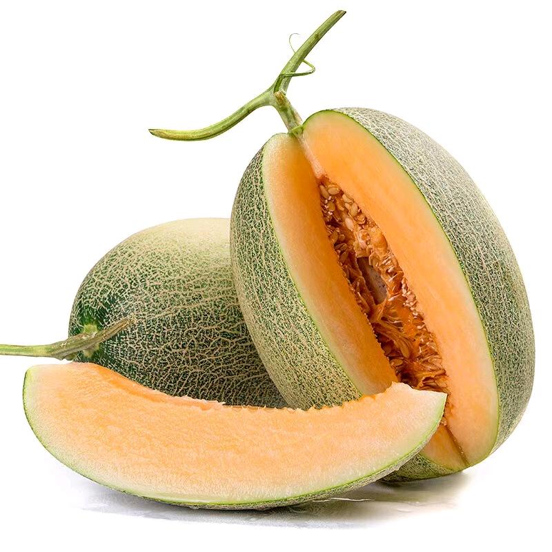 鲜碰鲜