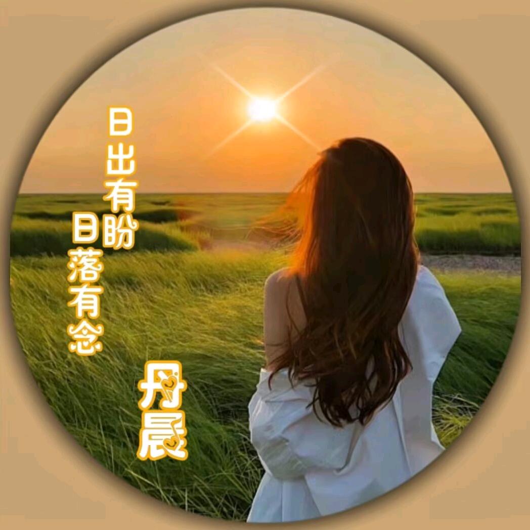 丹晨🕊