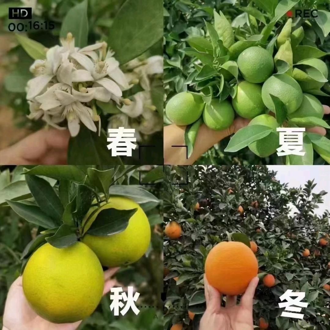 创作源科技