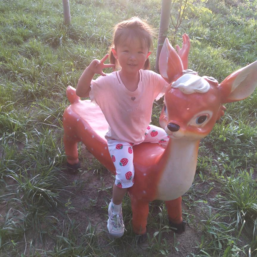 立哥《华老六团队