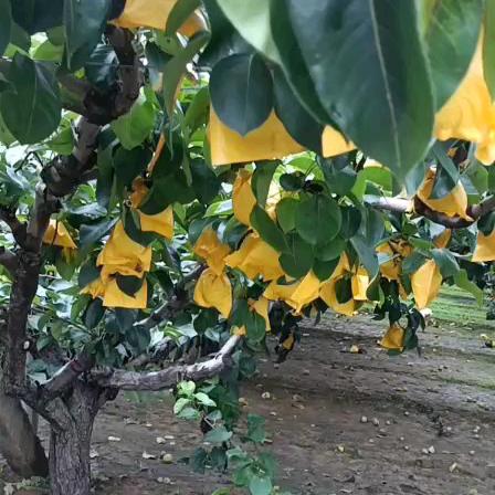 余生好好爱自己