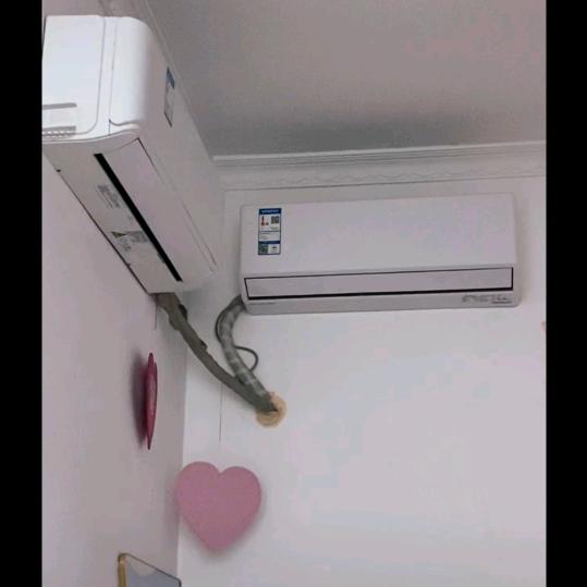 肿么赶得鸭