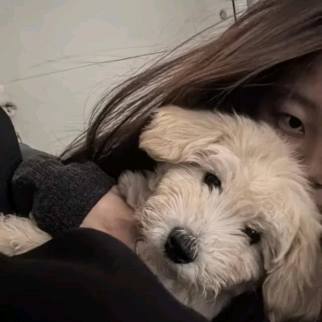疯狂吗喽