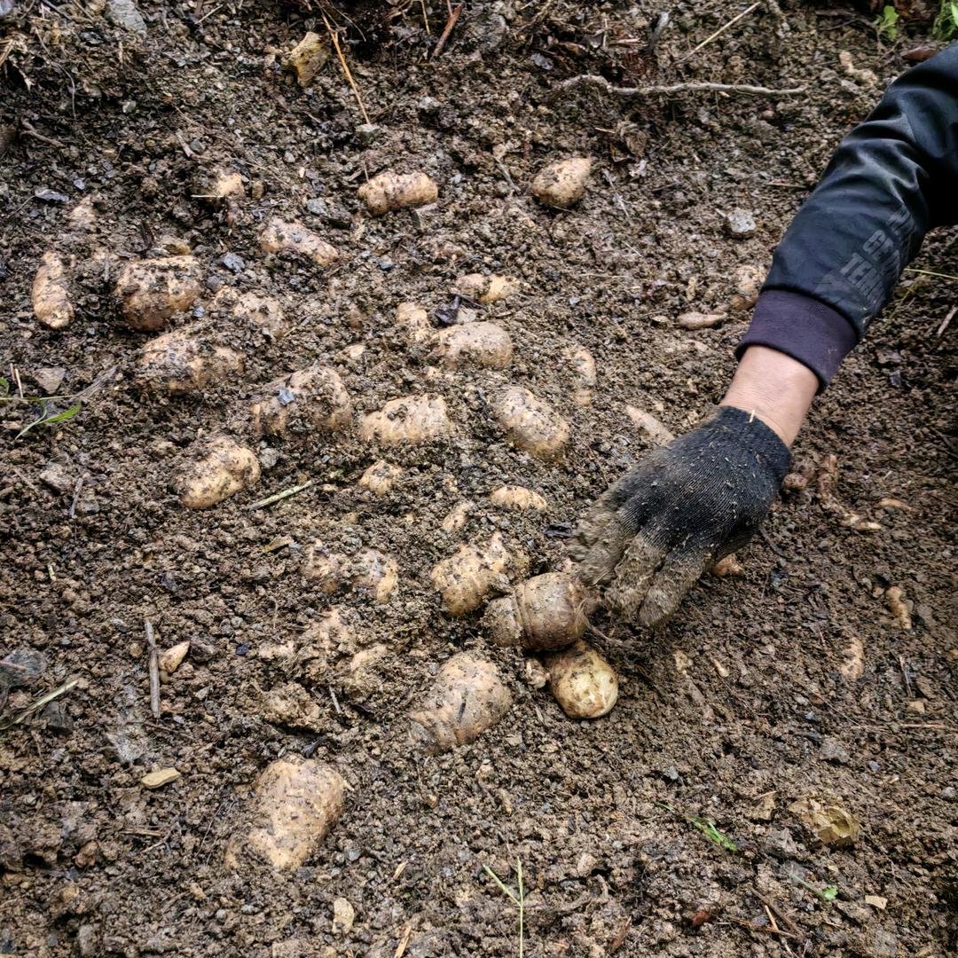 贵州茂业畅农生态农货精选
