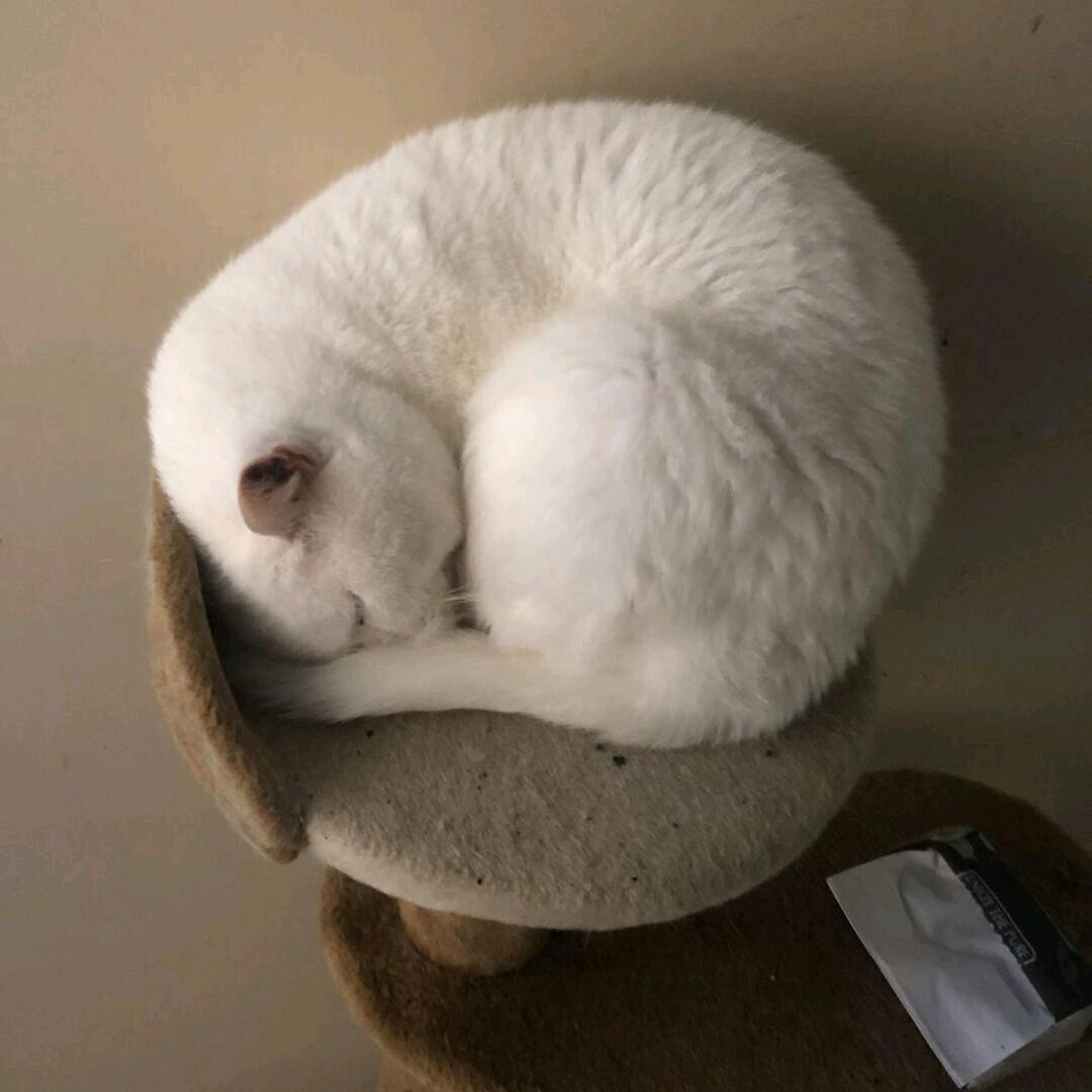 尤遥清