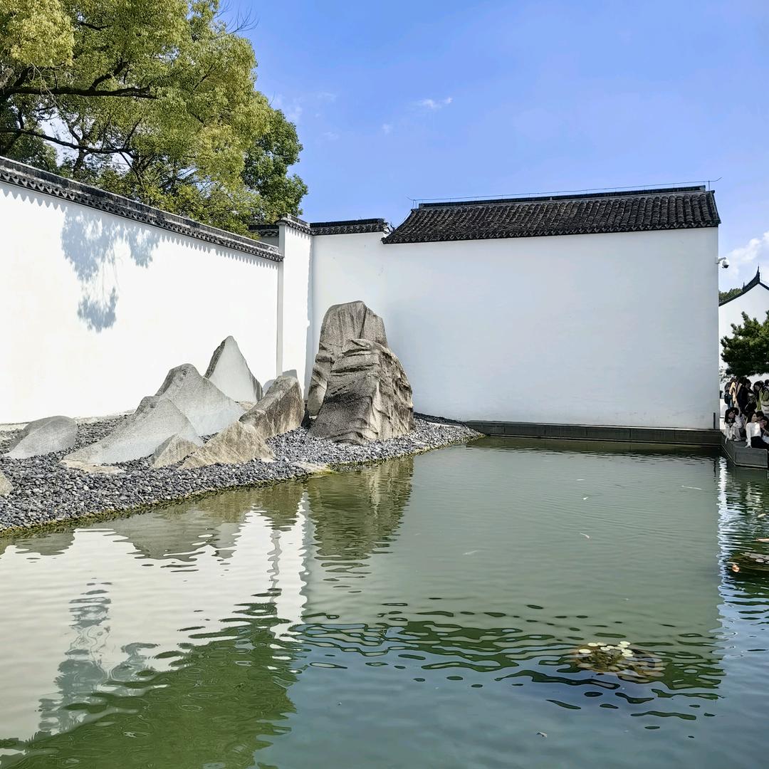北方的羊