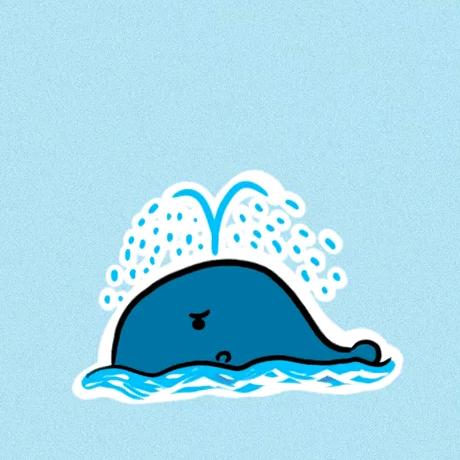 你的专属小可朵