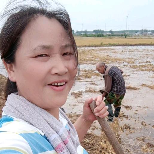 兰姐小号