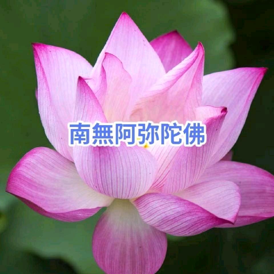 静静的祝福