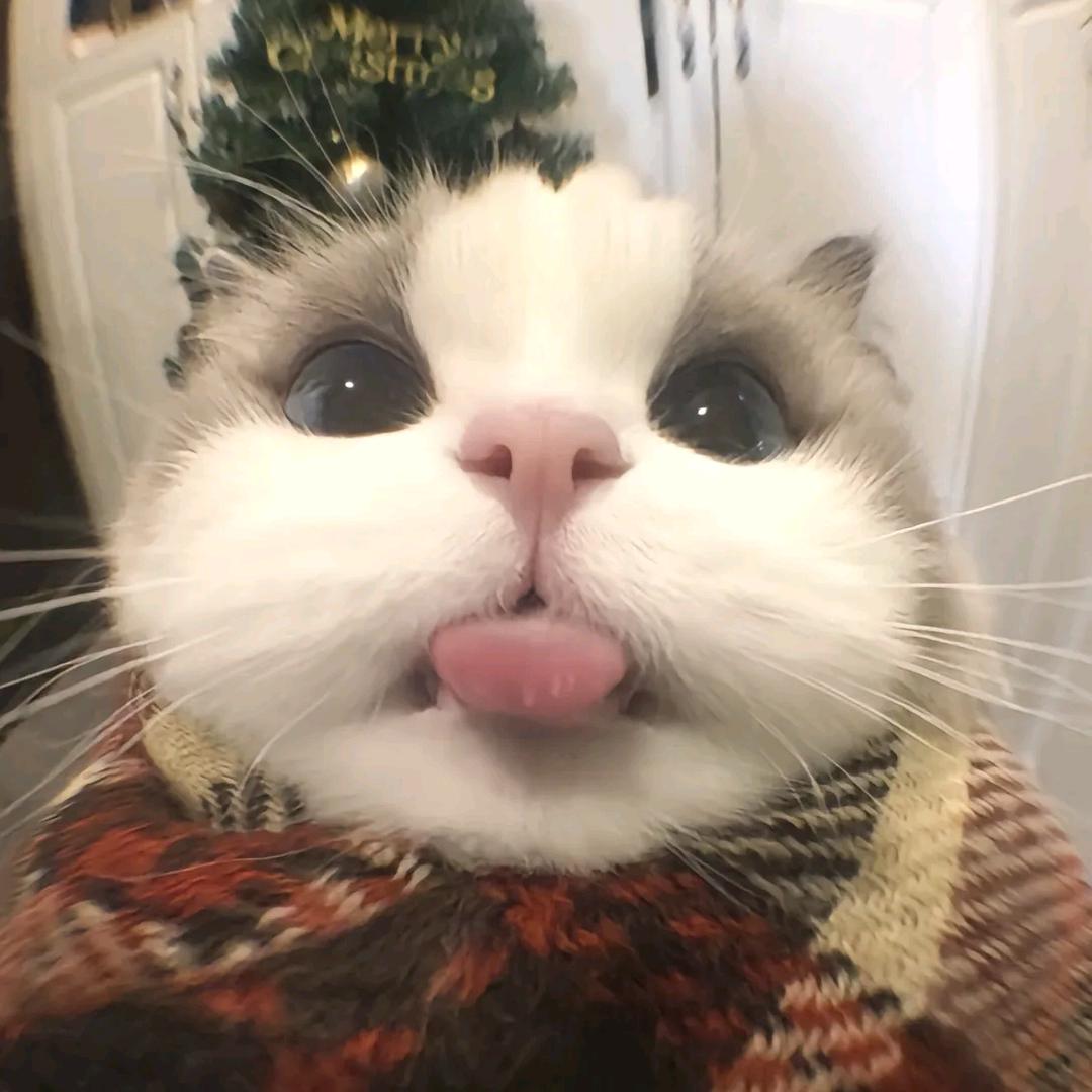不懂回电话