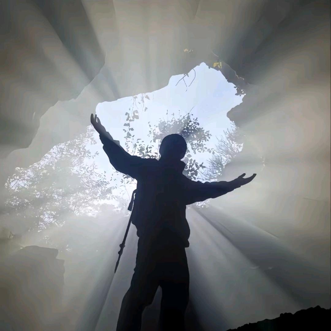 🐬终不似，少年游🍂