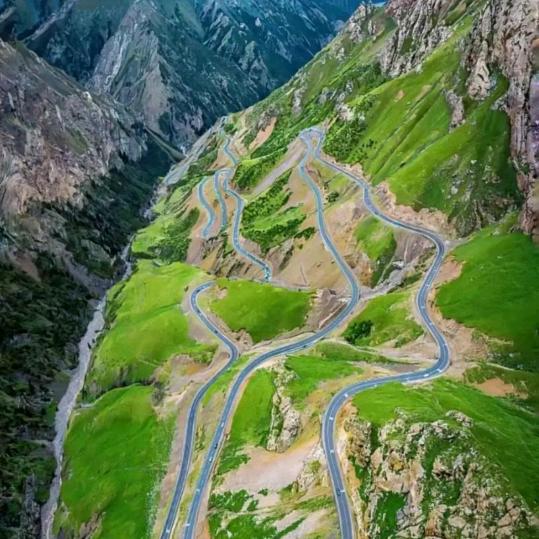 👊年度牌铁公鸡👊