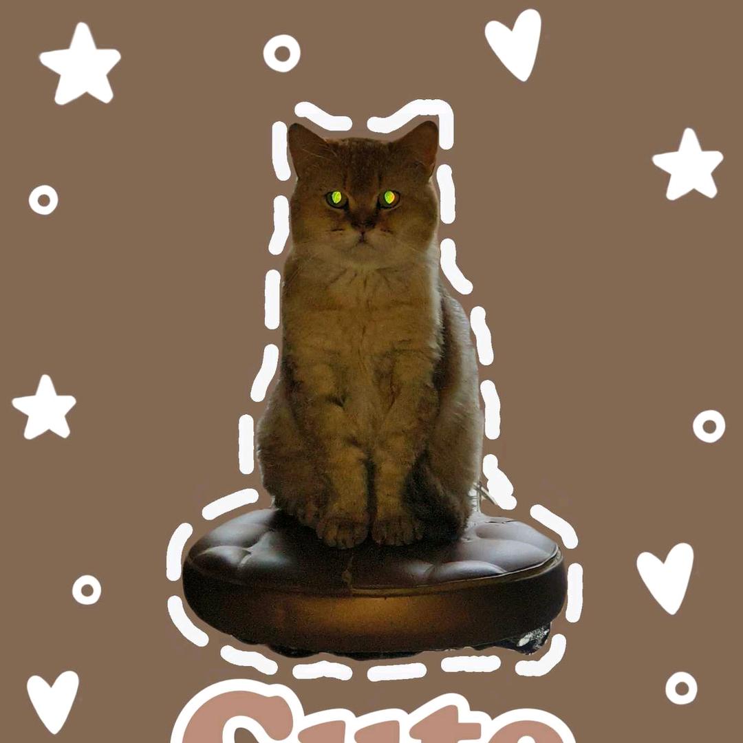 🐶🐱🦎铲屎官事不多