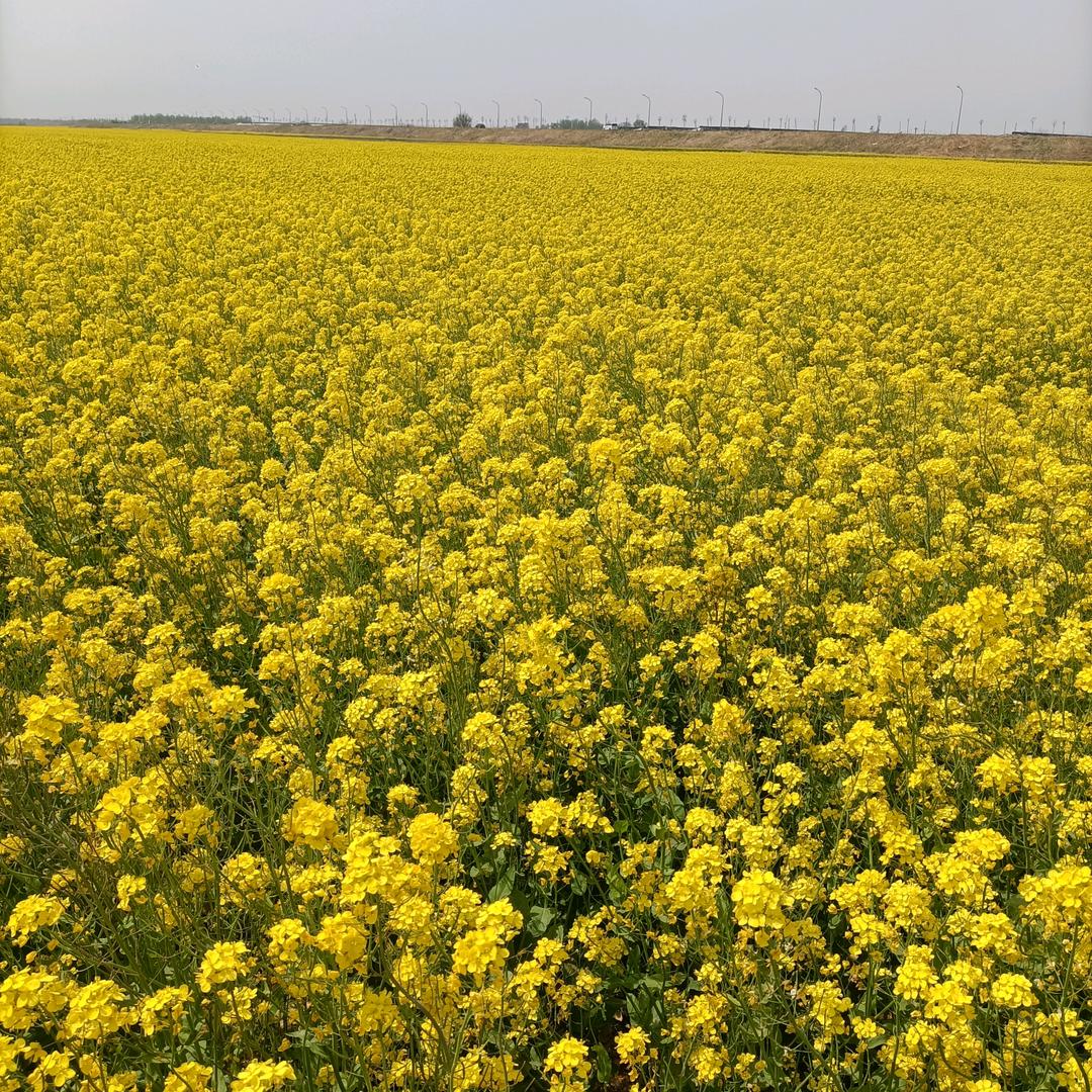 幸福的一家人，126