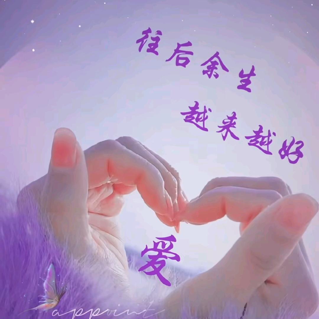 🌹往后余生🌹
