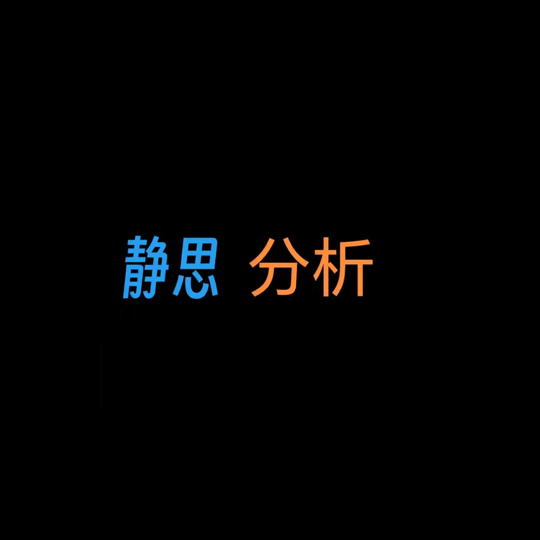 静思分析