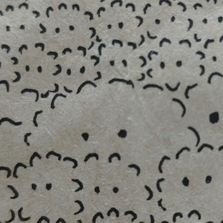云沄