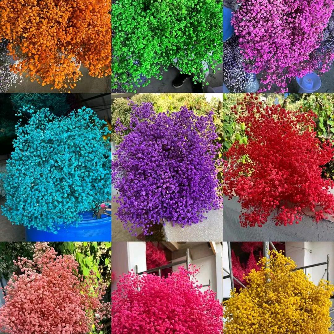 欣悦满天星工厂