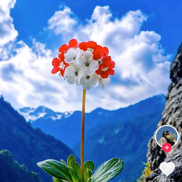 順風順水順財神