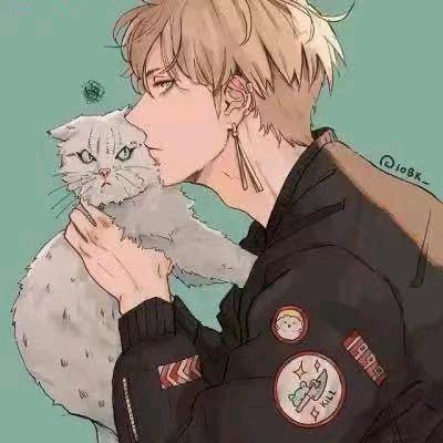 青云（网创版）